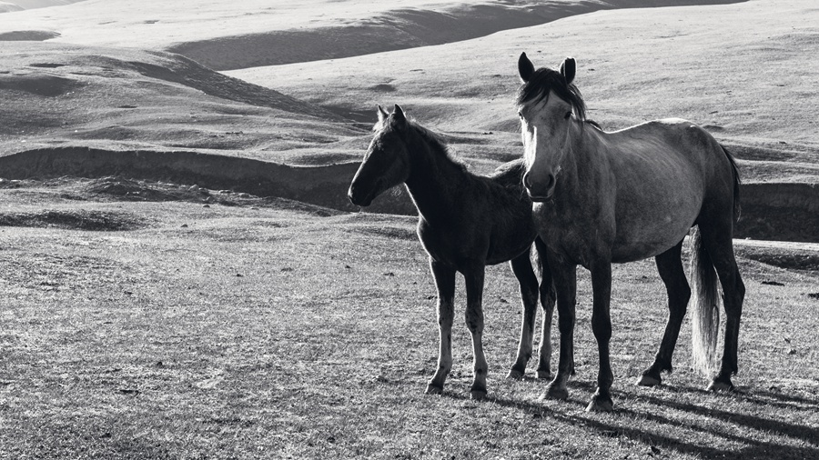 西域文明历史,西域千年古城喀什噶尔视频