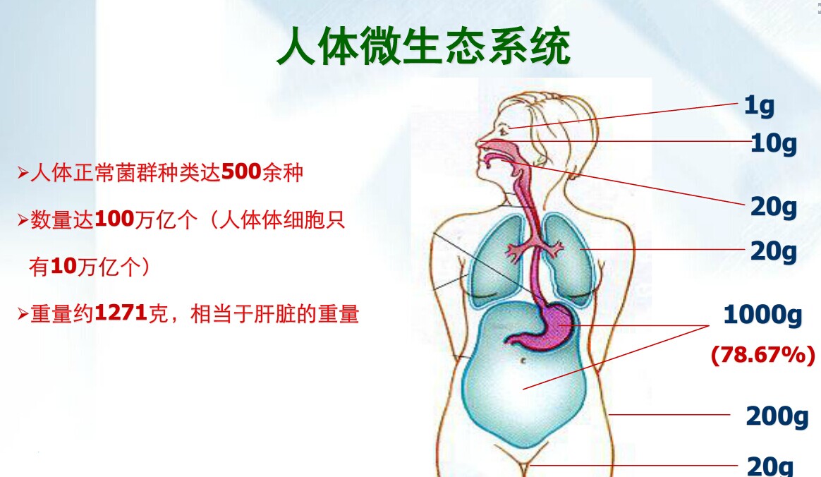 阴道微生态诊治,阴道微生态生殖系统疾病指南