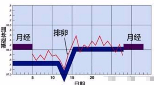 排卵日有什么明显症状和反应,排卵日最基本的症状是什么