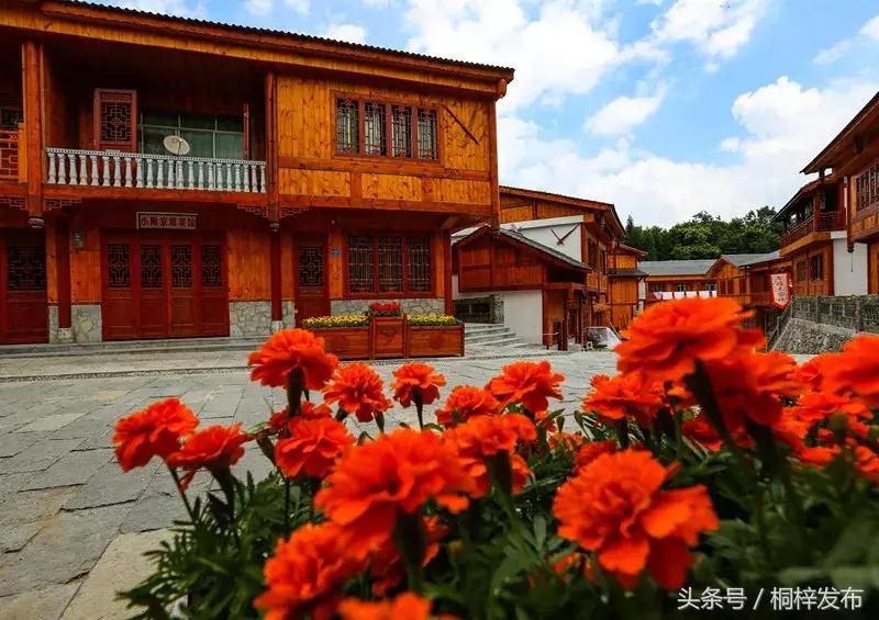 贵州桐梓县好玩的,好玩的地方桐梓