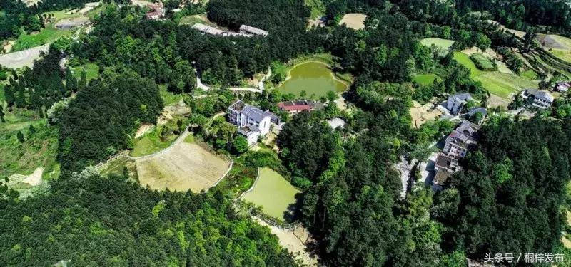 贵州桐梓县好玩的,好玩的地方桐梓