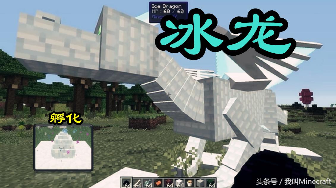 我的世界龙蛋怎么孵化一点就消失,我的世界龙蛋怎么孵化一点就不见