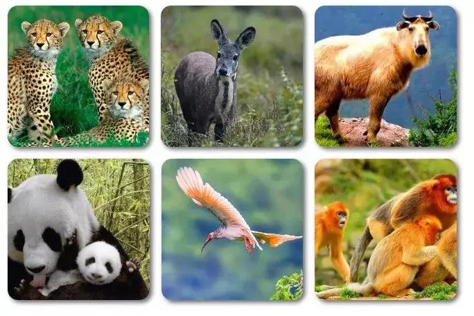 西安秦岭避暑纳凉旅游攻略,西安秦岭附近避暑好去处一日游