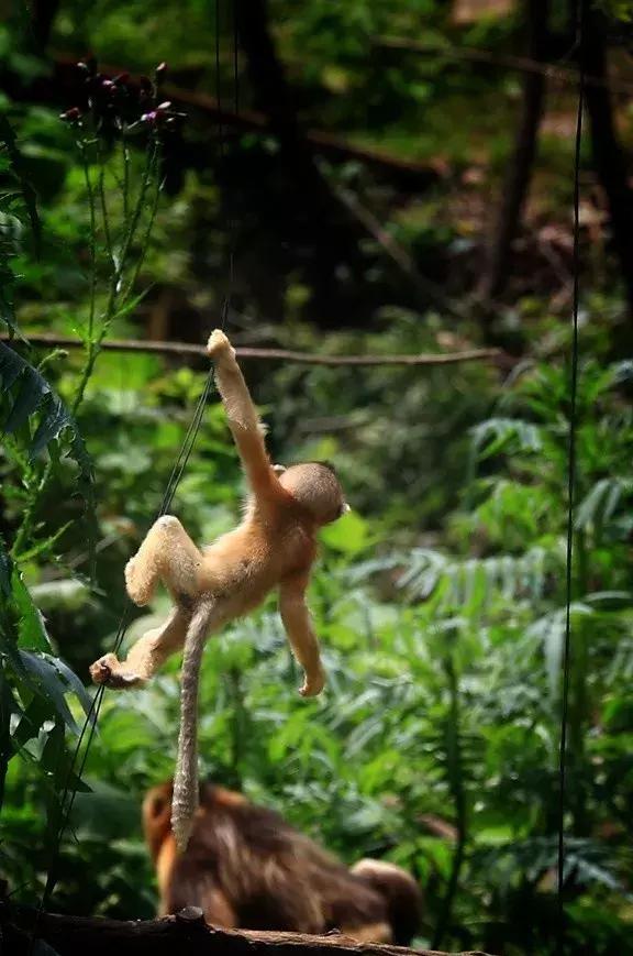 西安秦岭避暑纳凉旅游攻略,西安秦岭附近避暑好去处一日游