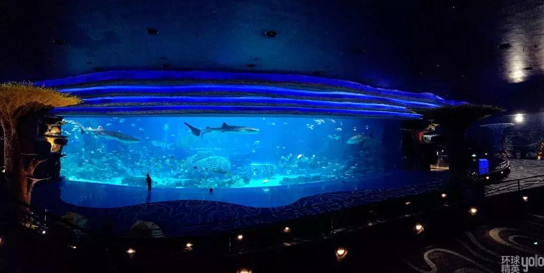 珠海长隆海洋王国澳门香港游,珠海长隆海洋王国表演节目时间表