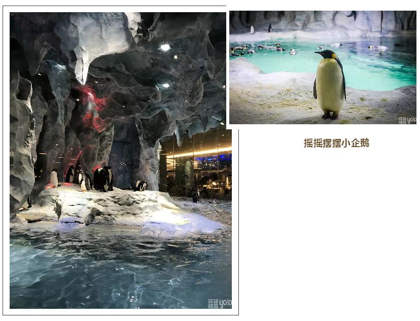 珠海长隆海洋王国澳门香港游,珠海长隆海洋王国表演节目时间表