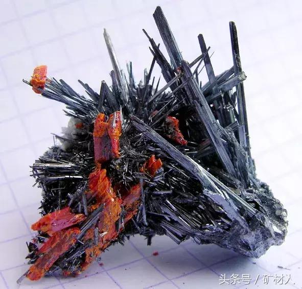 地质学家图片,我国著名地质学家图片及简介