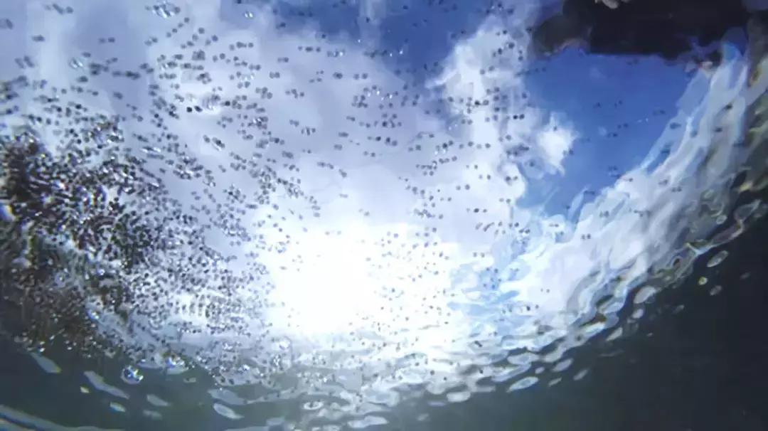 鱼塘养鱼怎么防死,阴雨天鱼塘管理