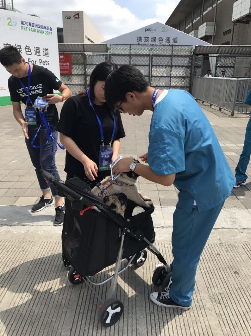 安安宠医年会,安安宠医24h点点宠物医院