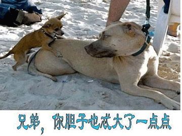 一位教授给孩子批改作业,一个老师给学生发试卷