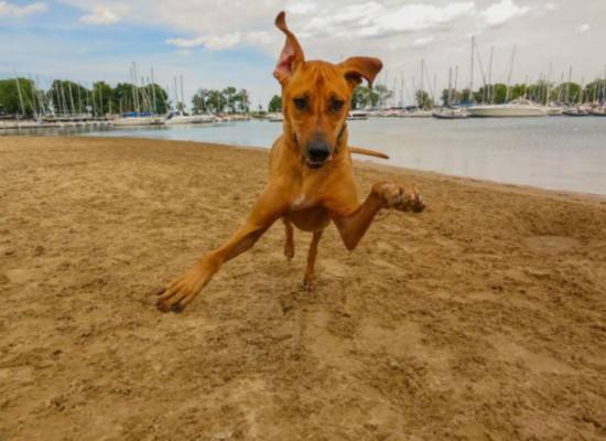 一位教授给孩子批改作业,一个老师给学生发试卷