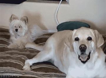 一位教授给孩子批改作业,一个老师给学生发试卷