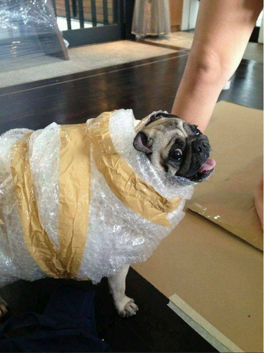 一位教授给孩子批改作业,一个老师给学生发试卷