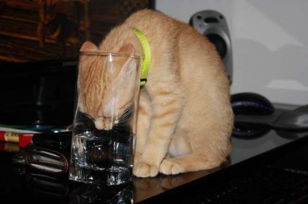 一位教授给孩子批改作业,一个老师给学生发试卷