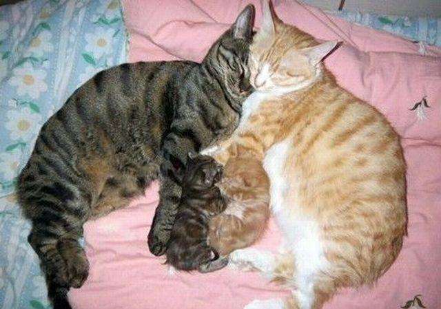 一位教授给孩子批改作业,一个老师给学生发试卷