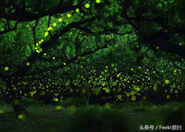 最新海岛打卡之旅,自由行可去的小众海岛