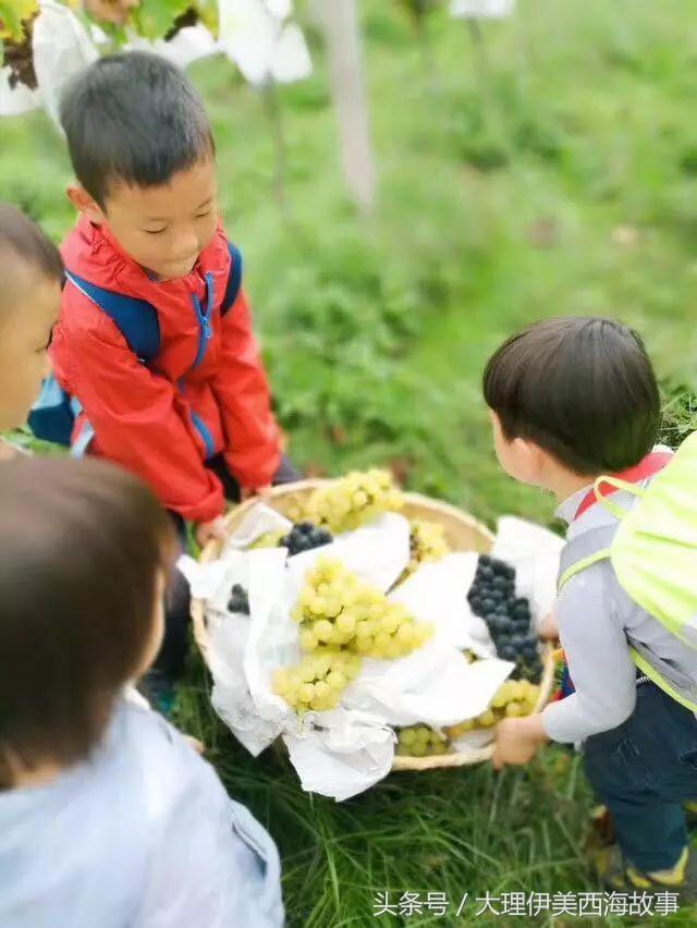 深山电子音乐节吃喝玩乐+野格+抖音区指南！预售票即将停止发售