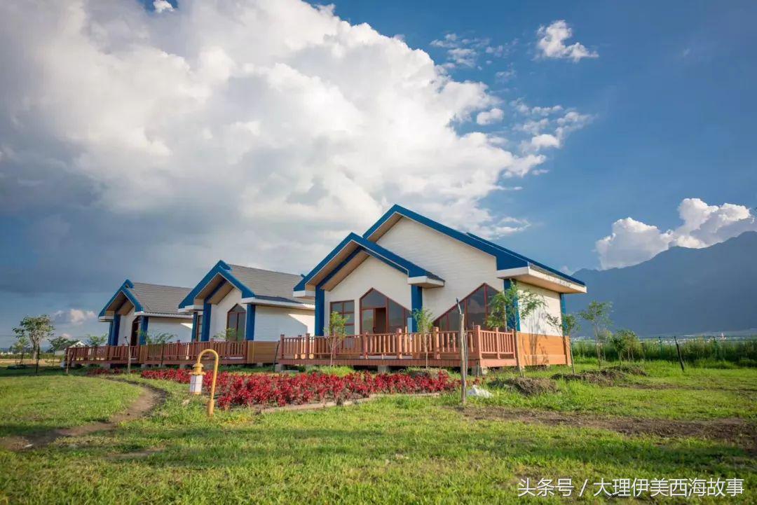 深山电子音乐节吃喝玩乐+野格+抖音区指南！预售票即将停止发售