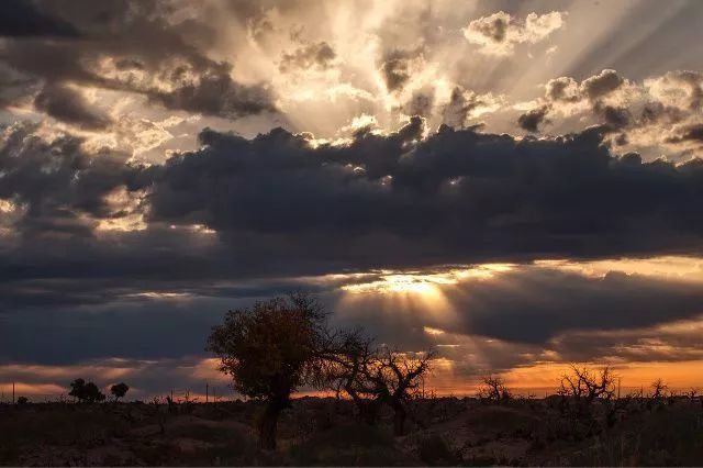 有一种追寻，叫敦煌山庄，畅想古今，韵味浓稠！