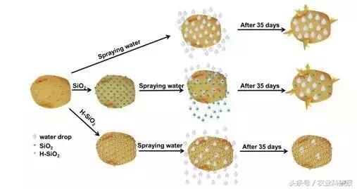保鲜喷剂真的有效吗,喷在蔬菜上的保鲜剂有毒吗