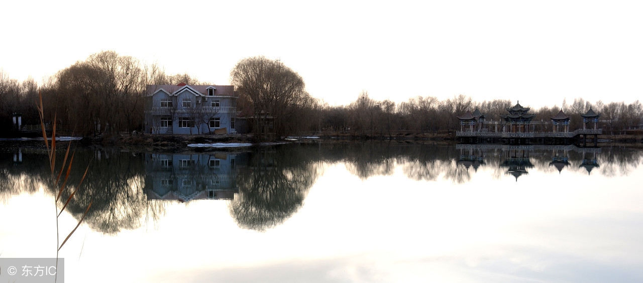 书法艺术美,书法精论90条