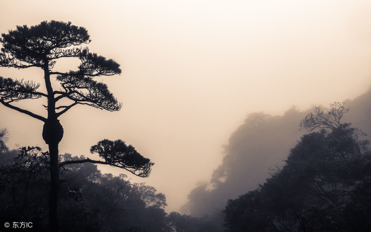 书法艺术美,书法精论90条