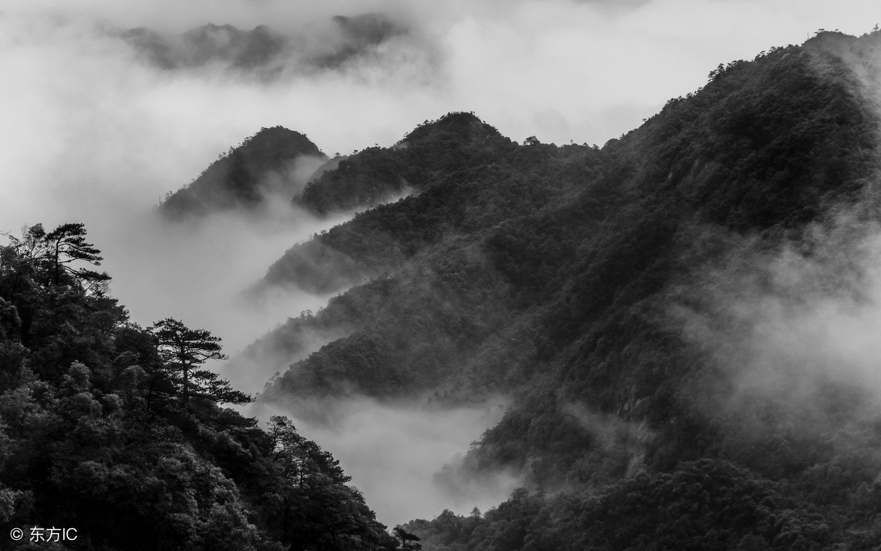 书法艺术美,书法精论90条