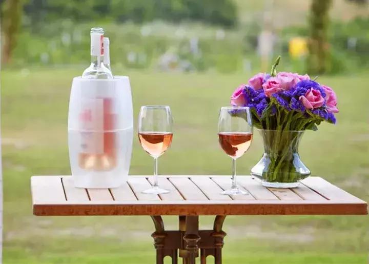 美到窒息的地球上,美到窒息的芝加哥