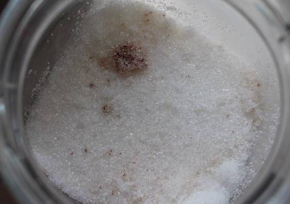 白糖生虫子能不能吃,白糖生虫能吃吗