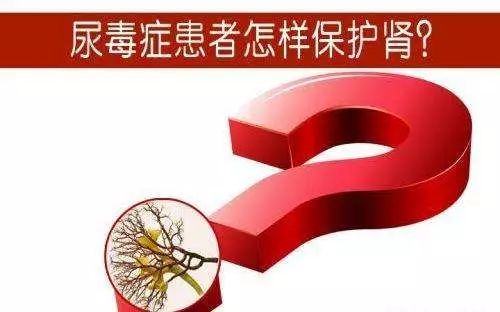 肾病患者午餐,肾病膳食宣教