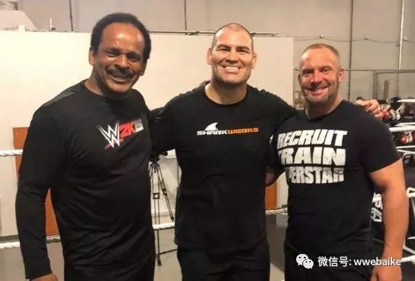 ufc粉丝和cba粉丝,ufc粉丝看待铁血被ko