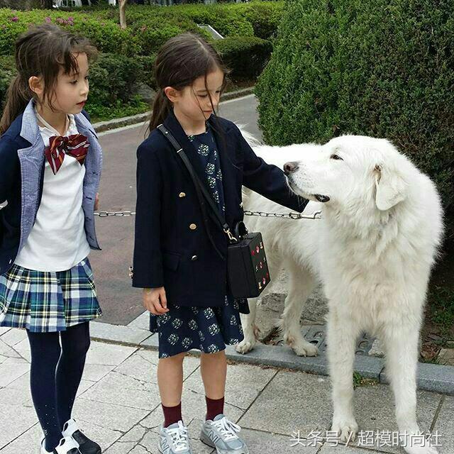 最美混血小女孩中国,混血萝莉雀斑小女孩