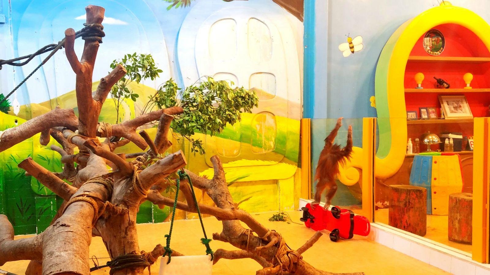 长隆广州野生动物园带娃游玩攻略,一大一小亲子游长隆野生动物园