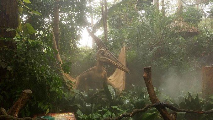 长隆广州野生动物园带娃游玩攻略,一大一小亲子游长隆野生动物园