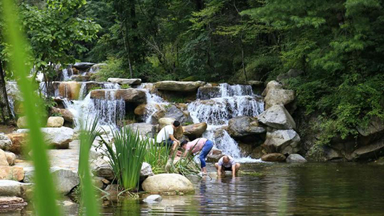 西安熊猫谷旅游,西安熊猫谷一日游详细攻略