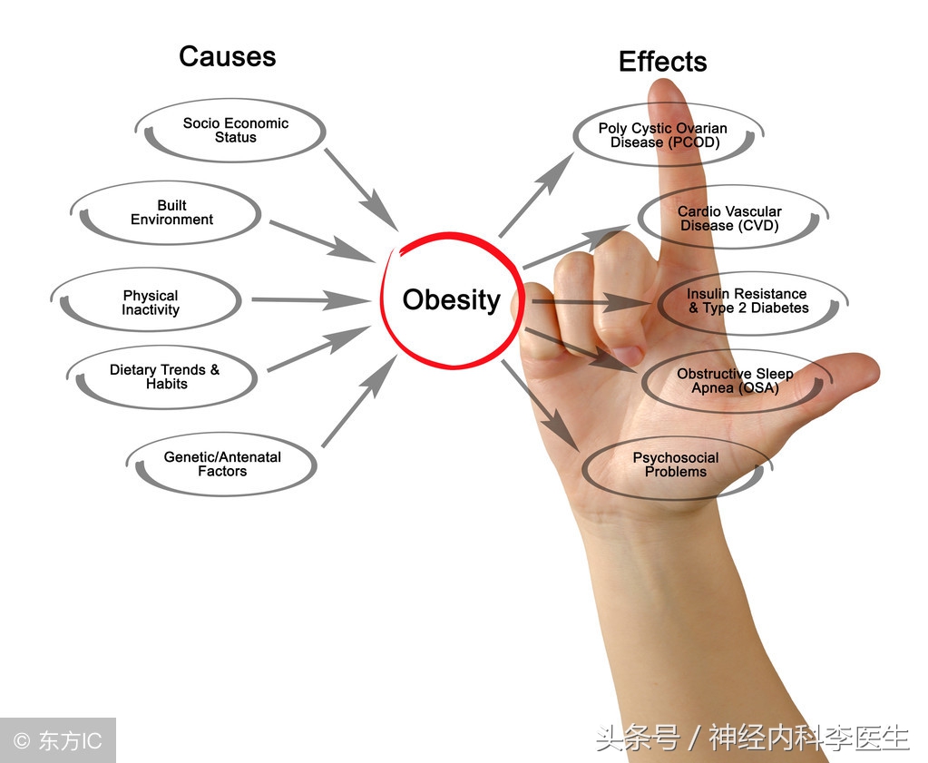 李医生说执业医师考试，「考点总结」生理学篇（二）