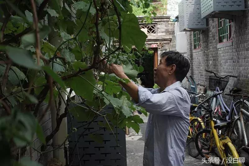 北京大爷说不跟年轻人说话有代沟,北京大爷说人和人认知差距