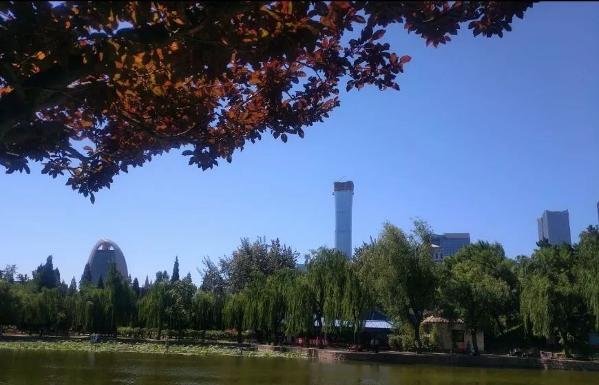 北京哪些公园对18岁以下免费,北京值得去的免费公园排名