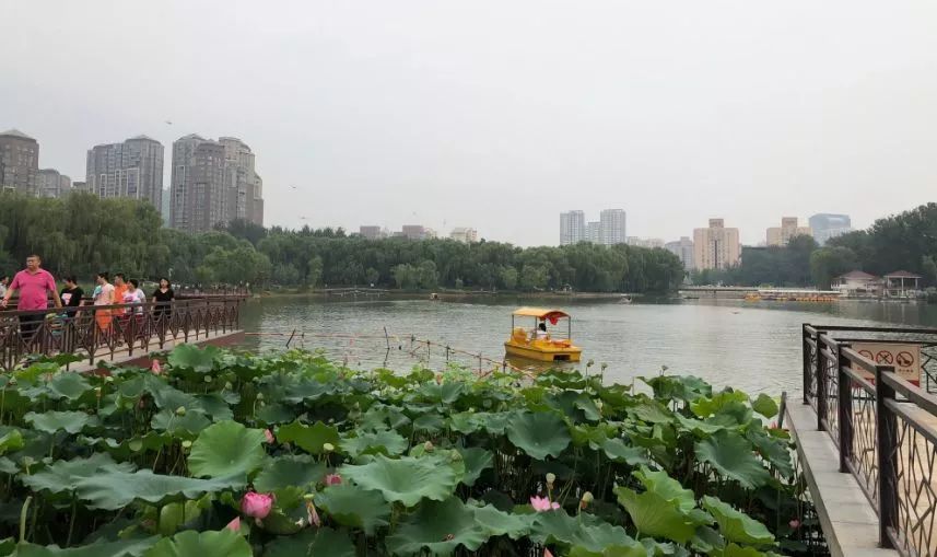 北京哪些公园对18岁以下免费,北京值得去的免费公园排名