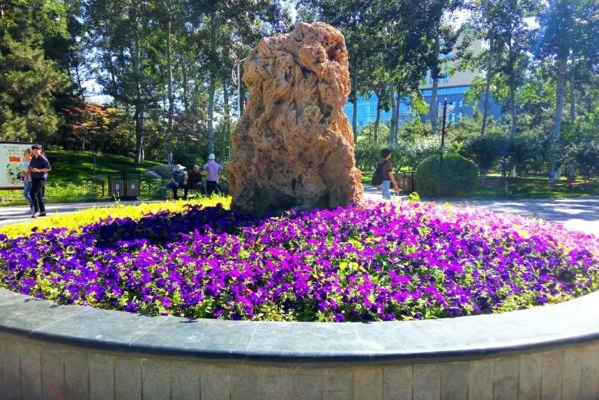 北京哪些公园对18岁以下免费,北京值得去的免费公园排名