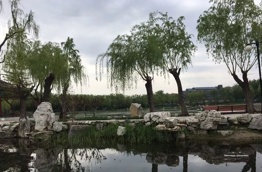 北京哪些公园对18岁以下免费,北京值得去的免费公园排名