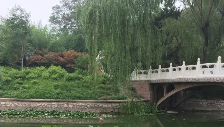 北京哪些公园对18岁以下免费,北京值得去的免费公园排名