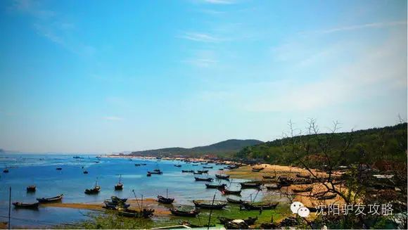 辽宁海岛冬季旅游攻略最新,辽宁海岛旅游去哪个岛最好