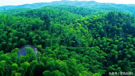 蜀南竹海避暑短租可做饭,蜀南竹海夏季游玩照片