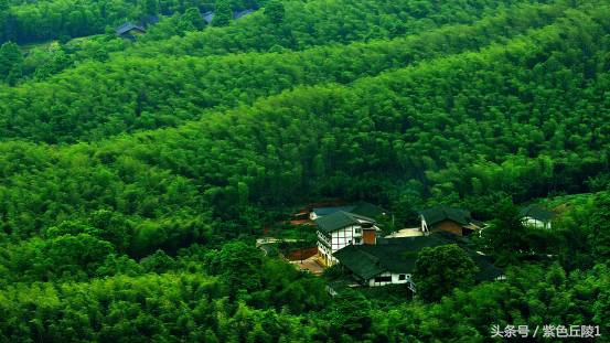 蜀南竹海避暑短租可做饭,蜀南竹海夏季游玩照片