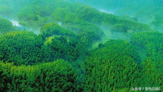 蜀南竹海避暑短租可做饭,蜀南竹海夏季游玩照片