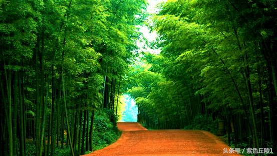 蜀南竹海避暑短租可做饭,蜀南竹海夏季游玩照片