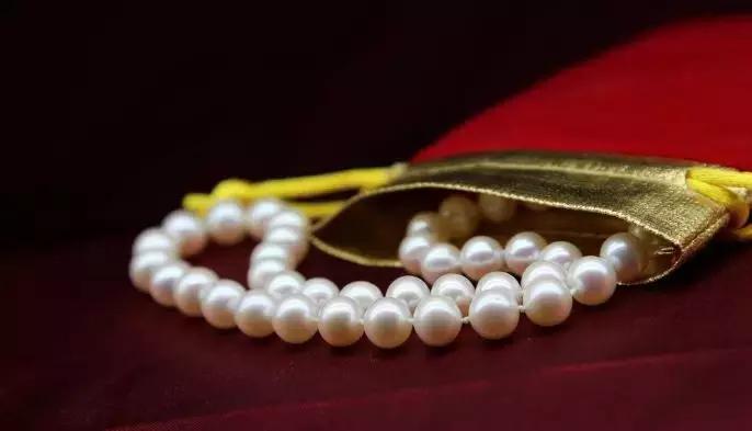 珍珠知识新手入门教学,小火说免费阅读