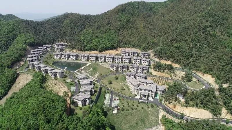 上虞幽兰轩城市民宿,上虞岭南民宿推荐