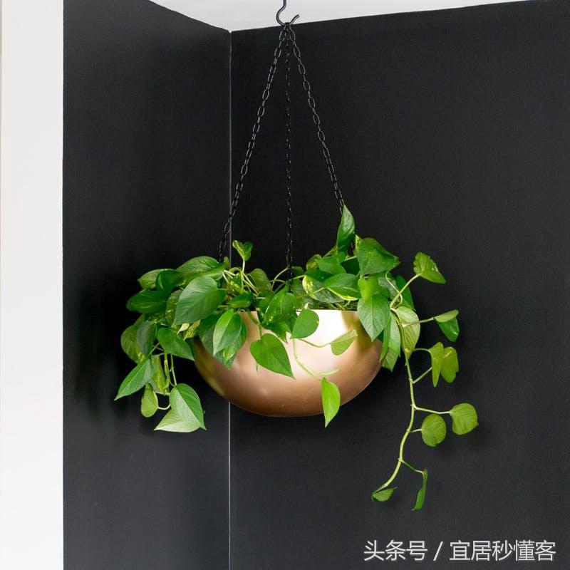 简单又好玩的宜家绿植花器改造，你也可以做